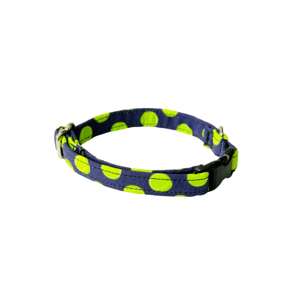 Fetch in Pink & Blue Collar