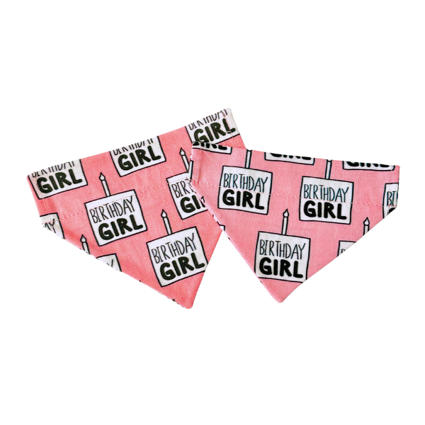 Happy Birthday in Pink & Blue Bandana