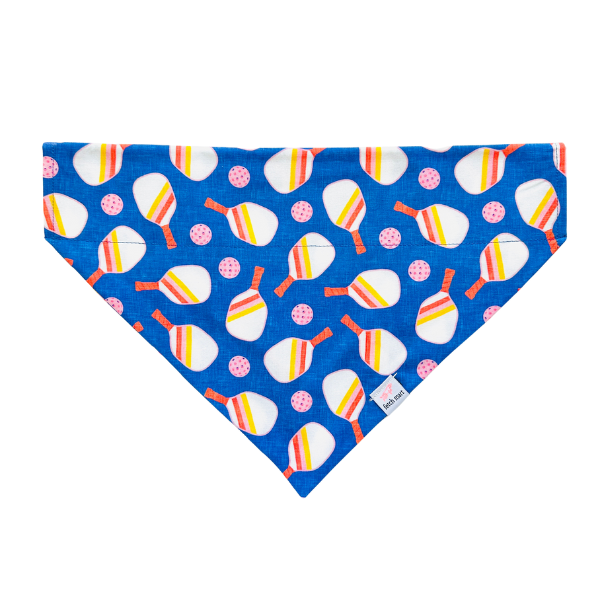 Pickleball in Blue & Mint Bandana