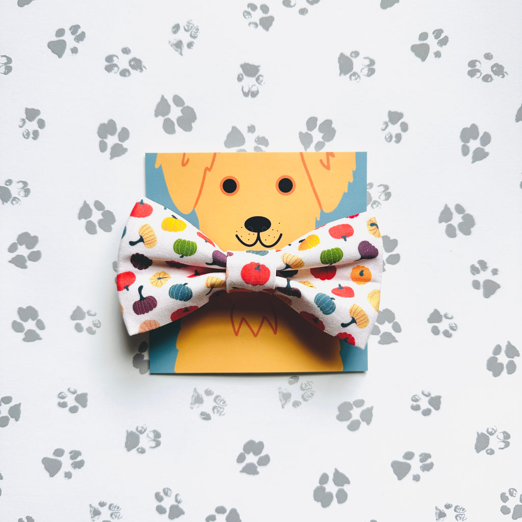 Pumpkin Patch Bow Tie