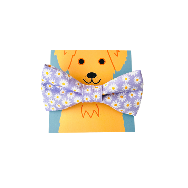 Lavender Daisies Bow Tie