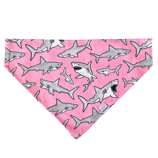 Sharks in Blue & Pink Bandana