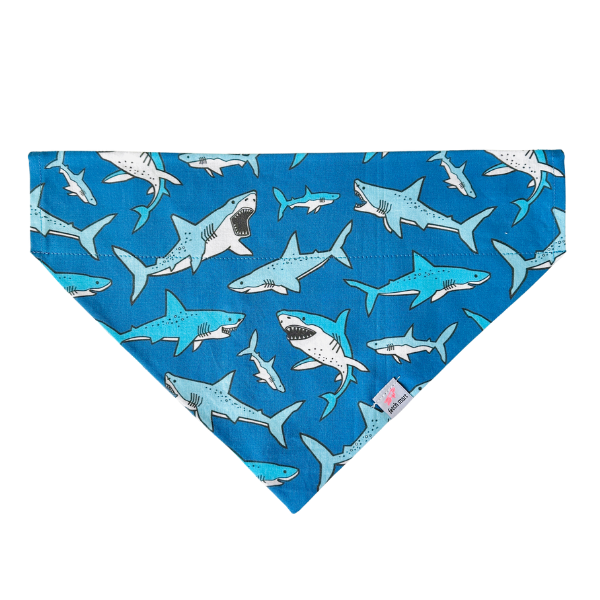 Sharks in Blue & Pink Bandana
