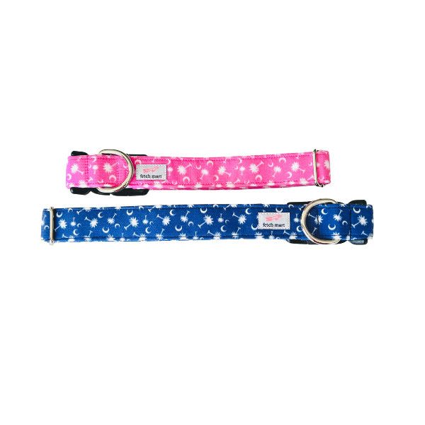 South Carolina Palmettos in Blue Collar