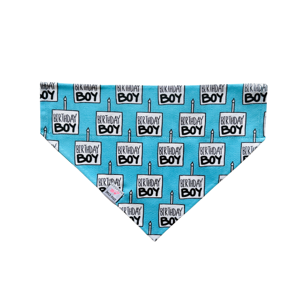 Happy Birthday in Pink & Blue Bandana