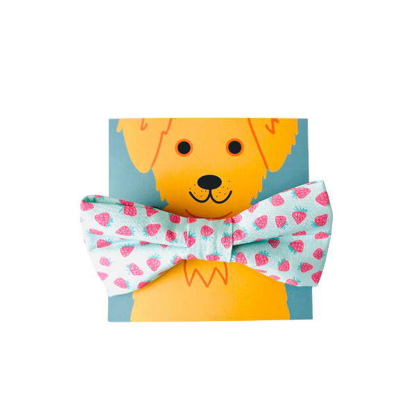 Strawberry Sorbet Bow Tie