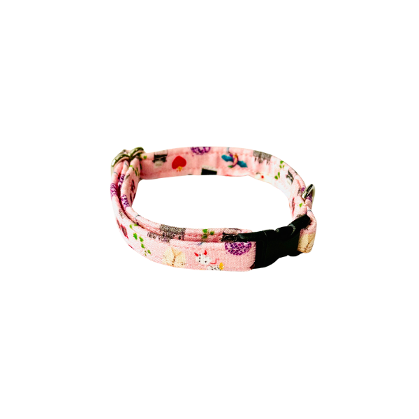 Eras Tour (Fetch Mart's Version) Collar