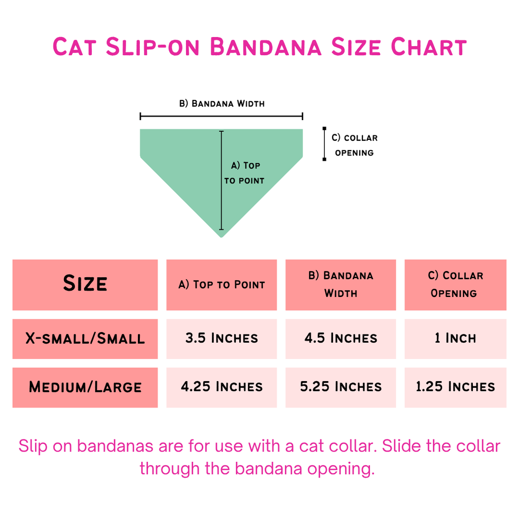 Eras Tour (Fetch Mart's Version) Bandana