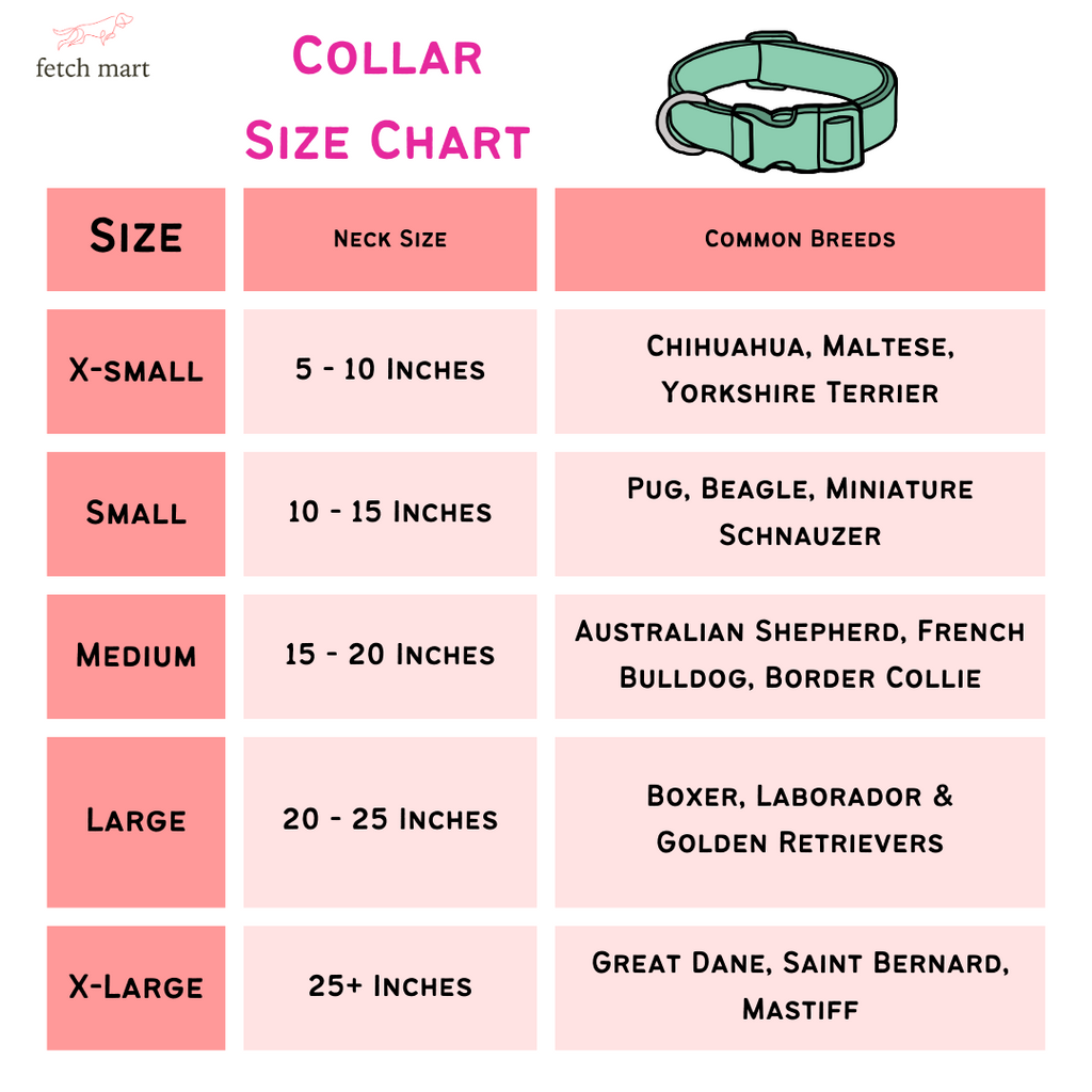 The Eras (Taylor's Version) Collar