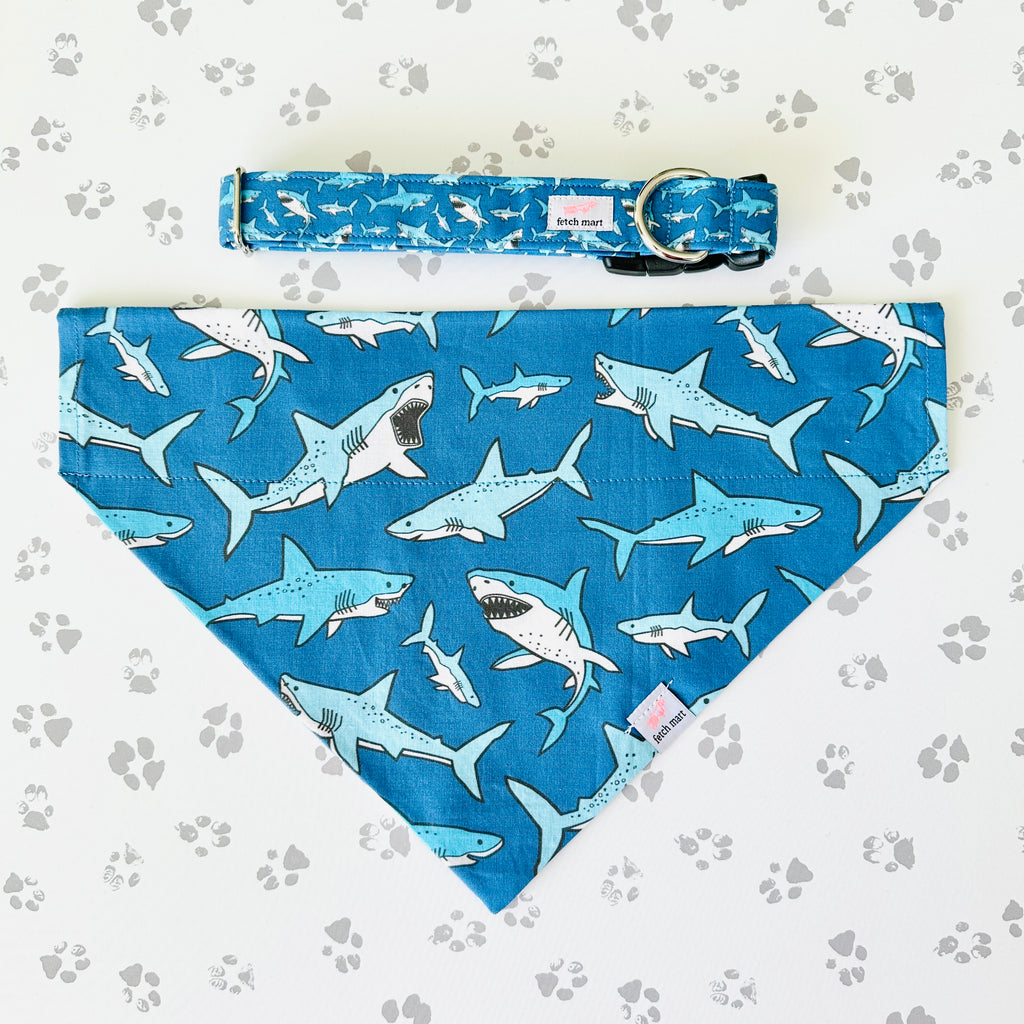 Sharks in Blue & Pink Bandana