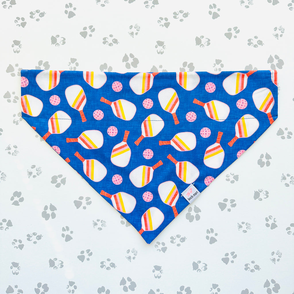 Pickleball in Blue & Mint Bandana