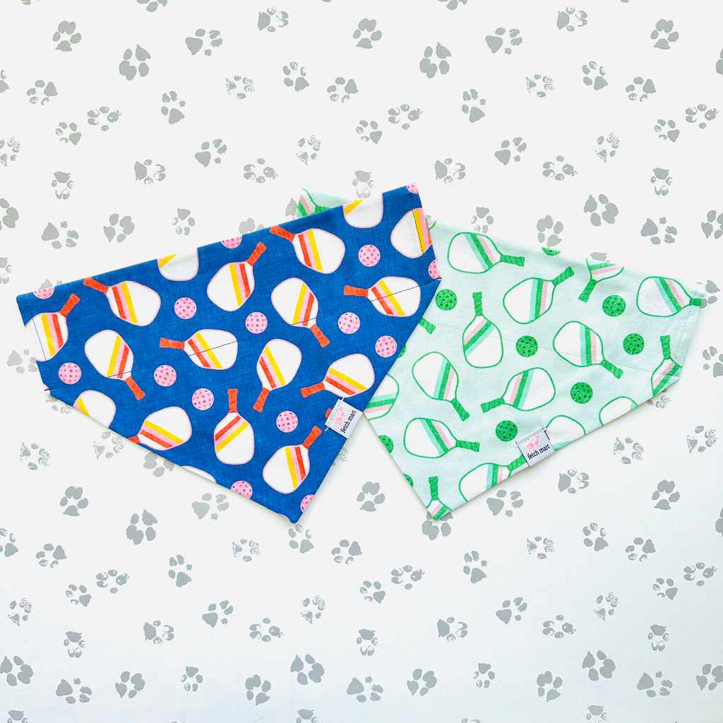 Pickleball in Blue & Mint Bandana