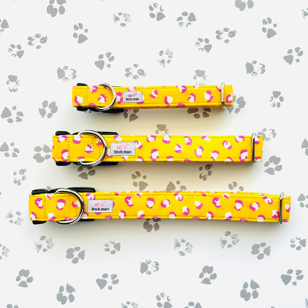 Sunshine Leopard Collar