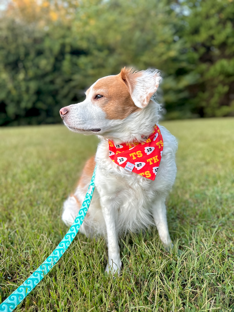 Travis Kelce Era (Taylor's Version) Bandana