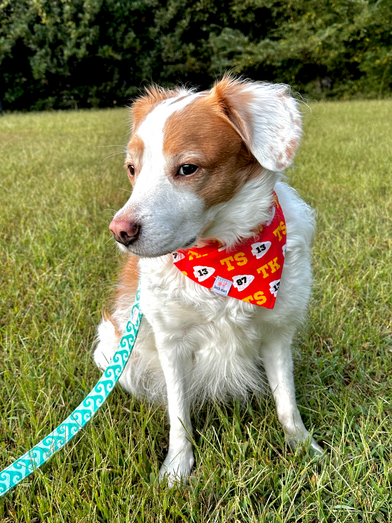 Travis Kelce Era (Taylor's Version) Bandana