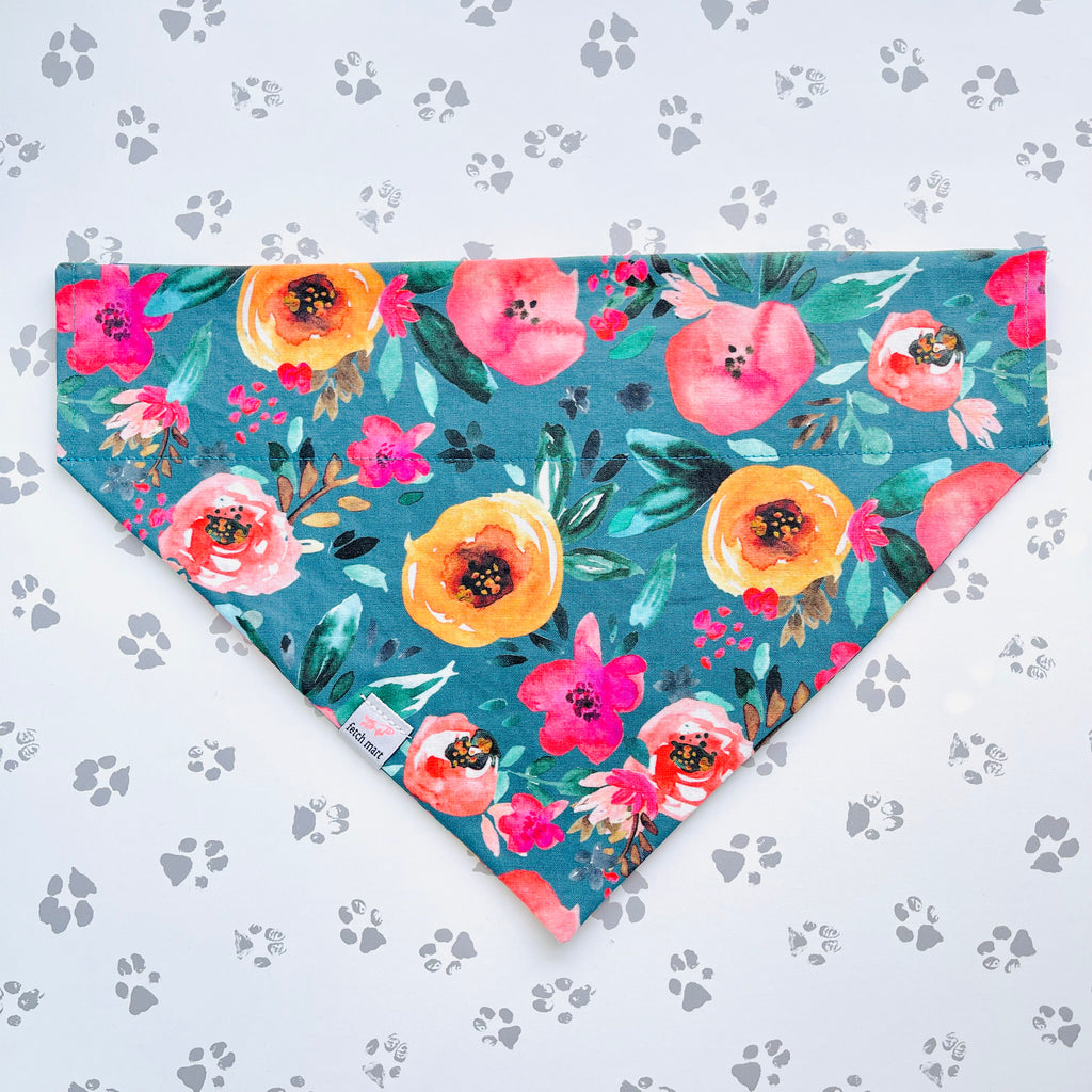 Apricot Begonias Bandana